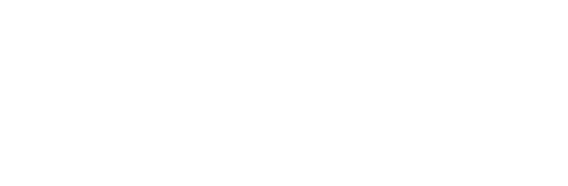 Slingshot Aerospace Logo