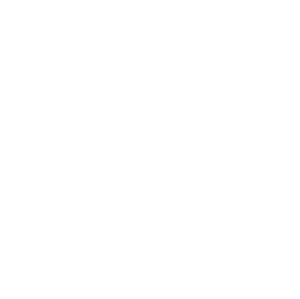 رؤية السعودية 2030