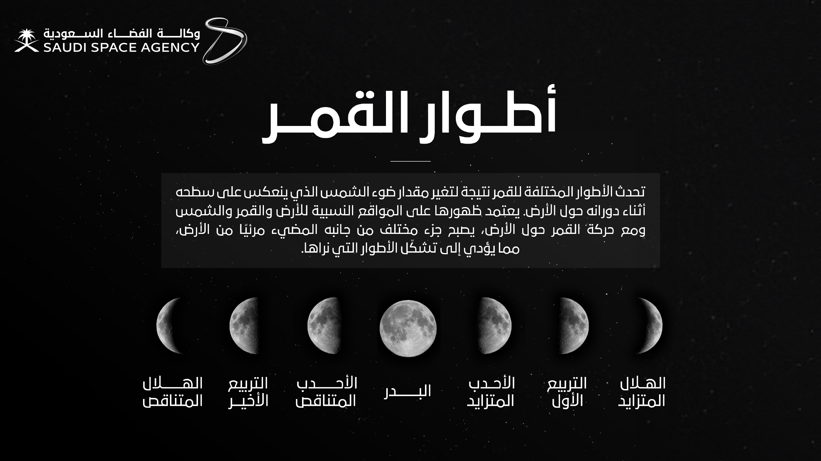 انفوجرافيك